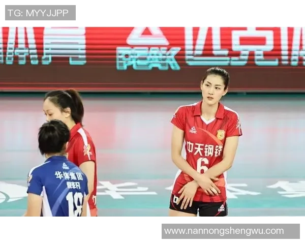 上海排球队技术表现分析与联赛表现的深度解读 上海排球队技术表现分析与联赛表现的深度解读