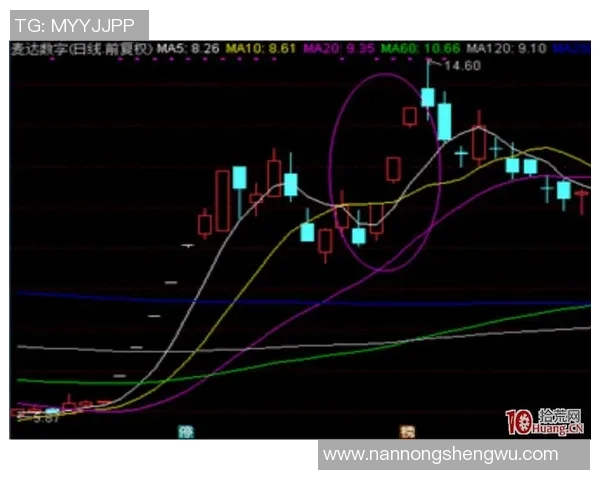 上海篮球队技术分析与战术创新的深度探讨与展望 上海篮球队技术分析与战术创新的深度探讨与展望