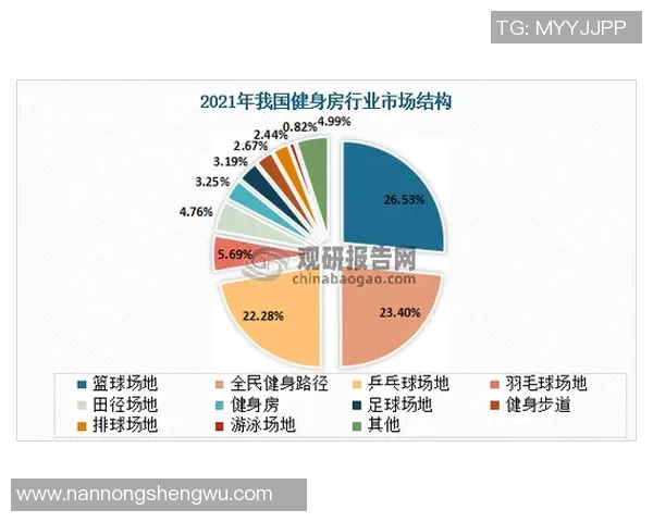 南京乒乓球队个人能力深度解析与发展潜力探讨