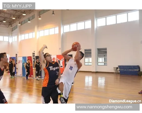 成都排球队在钻石联赛中的耐力表现分析与启示