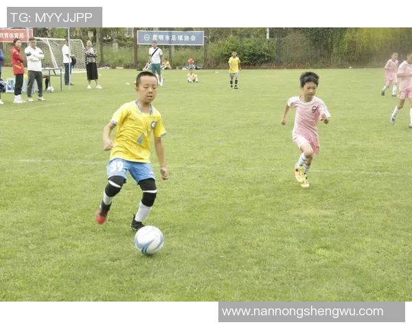 在绿茵场上正踢着足球的少年们展现青春活力与团队精神的瞬间 在绿茵场上正踢着足球的少年们展现青春活力与团队精神的瞬间