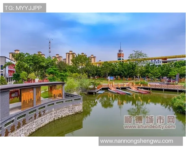 吴越钱塘足球队奋勇争先展现青春风采助力城市体育发展新篇章