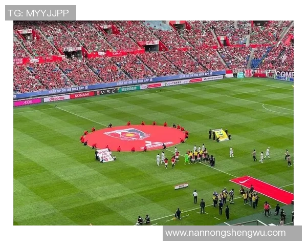 变身足球服让你在球场上尽显风采与激情的完美选择 变身足球服让你在球场上尽显风采与激情的完美选择